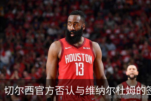 切尔西官方否认与维纳尔杜姆的签约传闻