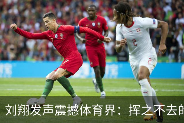 刘翔发声震撼体育界：挥之不去的困境与震荡信号