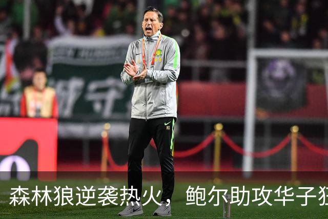 森林狼逆袭热火，鲍尔助攻华子狂砍45分，字母哥无力回天