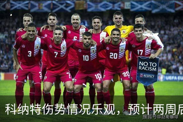科纳特伤势情况乐观，预计两周后能归队面对黄潜